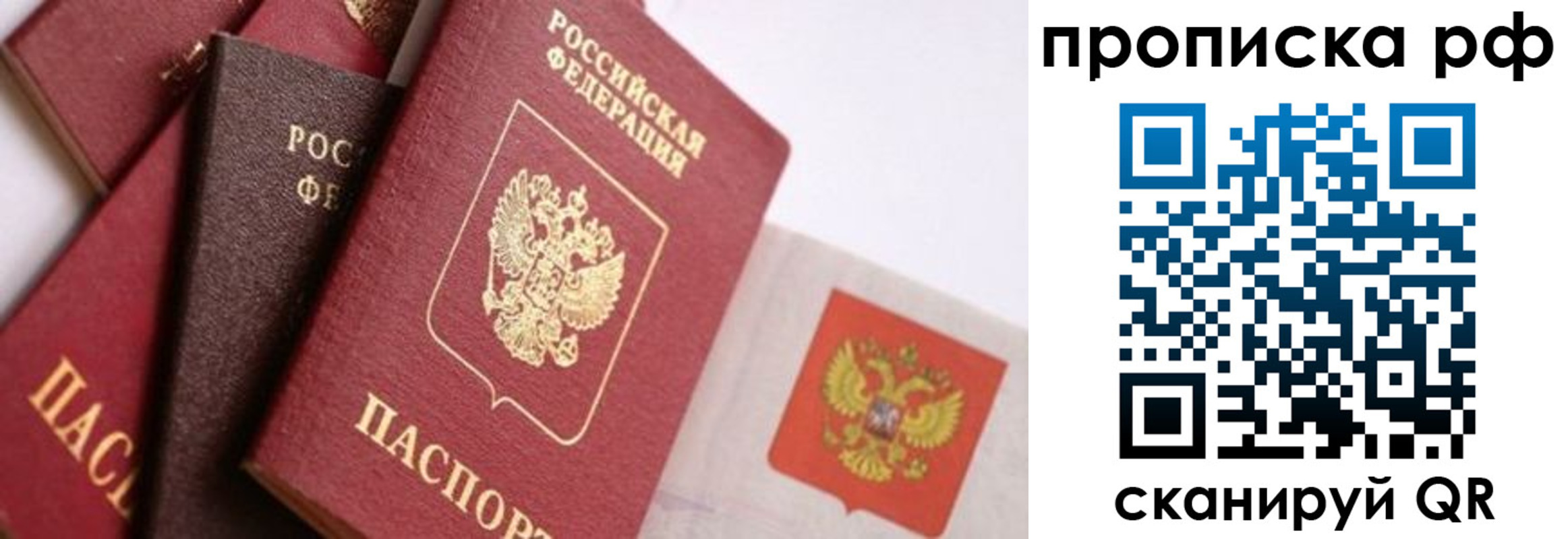 прописка ребенка в Александровске